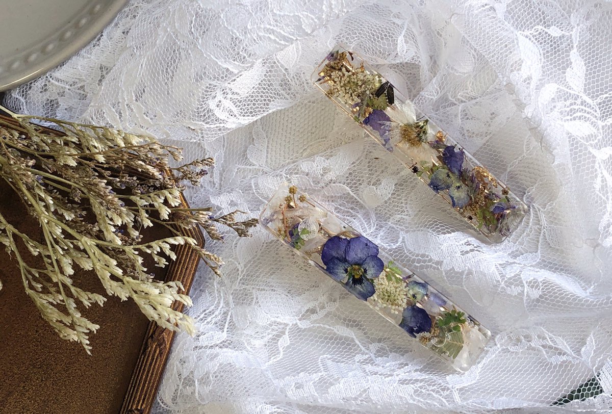 ビオラの方は一目惚れでお迎えきただきました🥰
白いアスターはまたあります🤲🏻