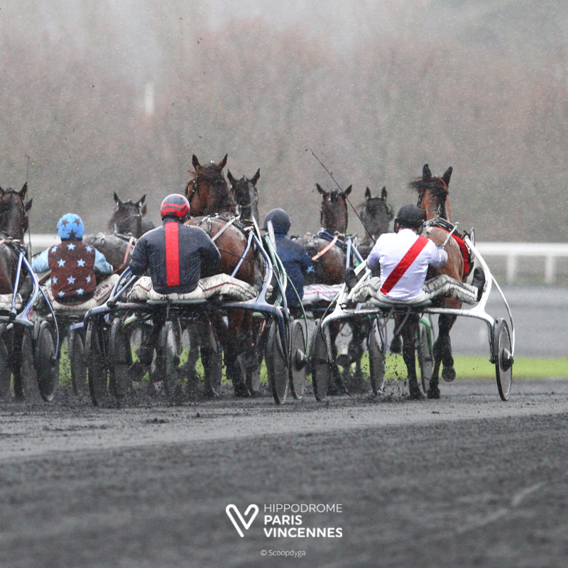Vincennes_Hippo's tweet photo. ๐๏ธ ๐๐ข๐จ๐ฅ ๐๐ ๐๐ข๐จ๐ฅ๐ฆ๐๐ฆ !
โ๏ธ Meeting d'hiver 22-23
โ๏ธ Dรจs 13h40
๐ด Quintรฉ+ ร 15h15
๐ 7 courses
๐ #PDARQ5
๐ @PMU_Hippique @PMU @ZEturfFr @Genybet_Turf @BetclicTurf @equidia @canalturf @RMCDecouverte @DirectQuinte