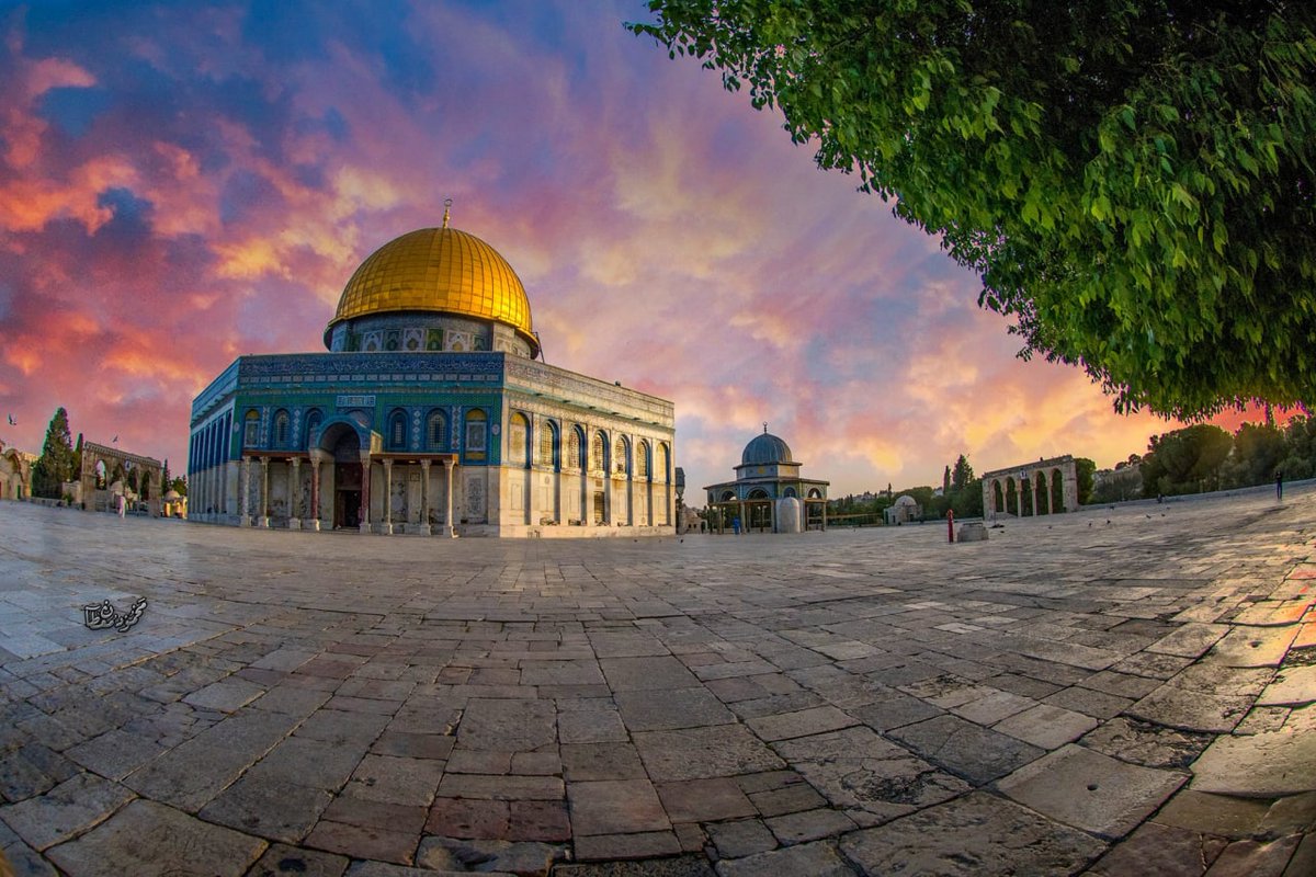 ••
اتعلم اننا اشتقنا 🥺🇵🇸"!
#الأقصى_في_خطر 
#اغضب_للاقصى