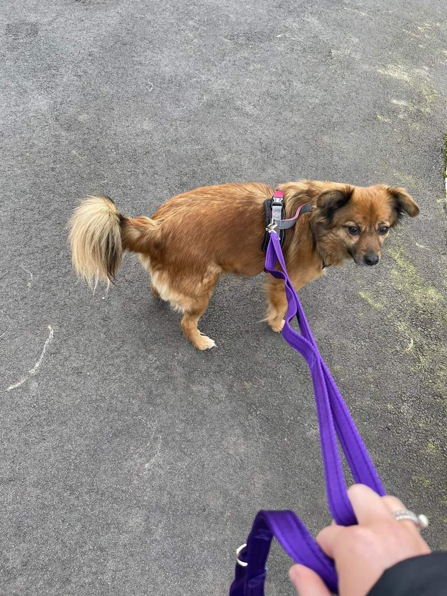 Dylan Moore tweet media