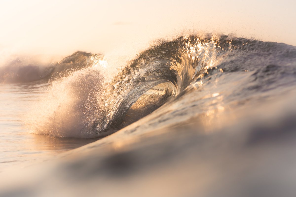 Luke Barker tweet media