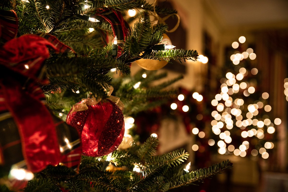 EthypharmD's tweet photo. Wieder neigt sich ein Jahr dem Ende zu. Wir wünschen Ihnen und Ihren Liebsten eine frohe Weihnachtszeit und ein gutes Neues Jahr. Mit winterlichen Grüßen, Ihr Ethypharm Team #ethypharm #weihnachten https://t.co/zA5zMuDsqI