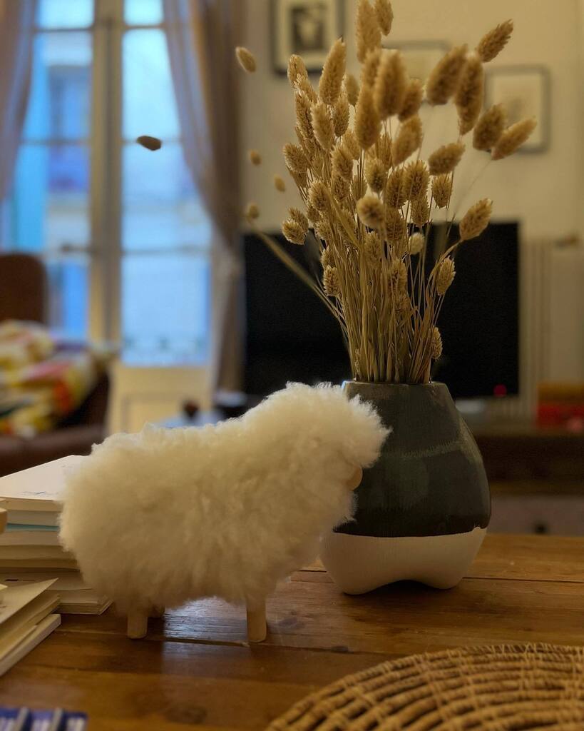 _chsanchez's tweet photo. 🐑🍯 bonjour
Sheepy et Popotin s’apprivoisent doucement.
#sheepy #popotin #sheepyetpopotin #bonjour #jecroisquejaidelafievre #love #katebush #mouton #dreamofsheep
👉https://t.co/UyNWgDSXuh https://t.co/tP0k3Pvpq1