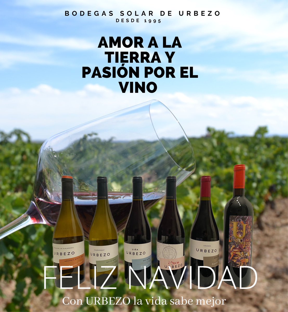 UrbezoWines's tweet photo. Haz que tu Navidad brille un poco más disfrutando con los vinos de Solar de Urbezo 🌟🎄🍷🎁

#solardeurbezo #urbezowines #vinosecologicos #organicwines #cariñena #DOCariñena https://t.co/uF6VDdNyFe