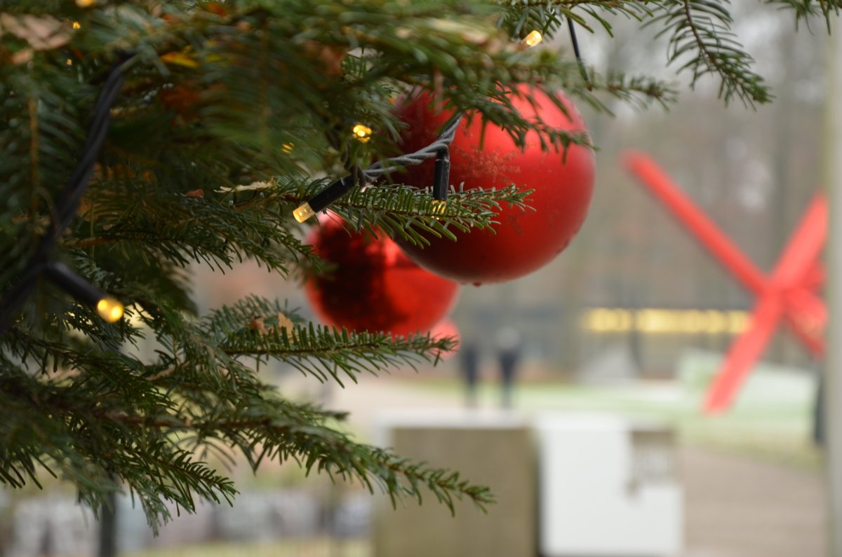 Vier kerst in het Kröller-Müller Museum! We zijn eerste en tweede kerstdag geopend van 10 tot 17.00 uur. Onze actuele openingstijden en prijzen vind je via: krollermuller.nl/openingstijden…