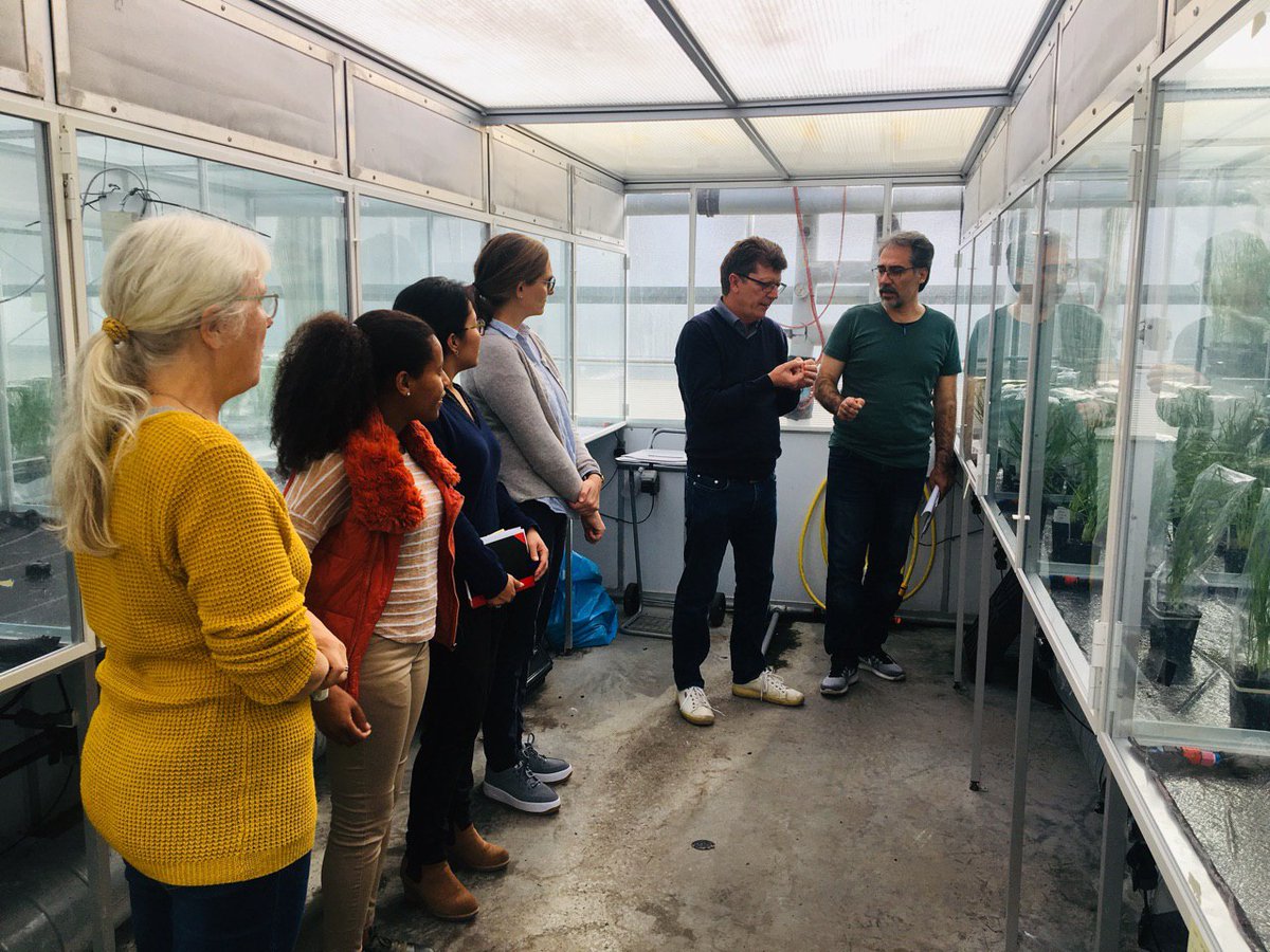 Fikrte Yirga Belayineh (@fikrte11) on Twitter photo 