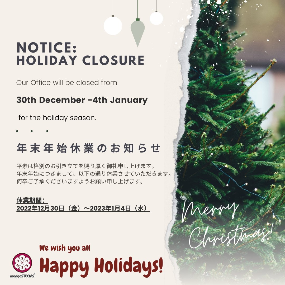 We wish you a Happy Christmas and a prosperous new year!

#mangosteems #stemeducation #stemeducationforkids #digitalskills #21stcenturyskills #technologyeducation #languagelearning #english #プログラミング教材 #海外教材 #英語で学ぶ #elt #STEM教材