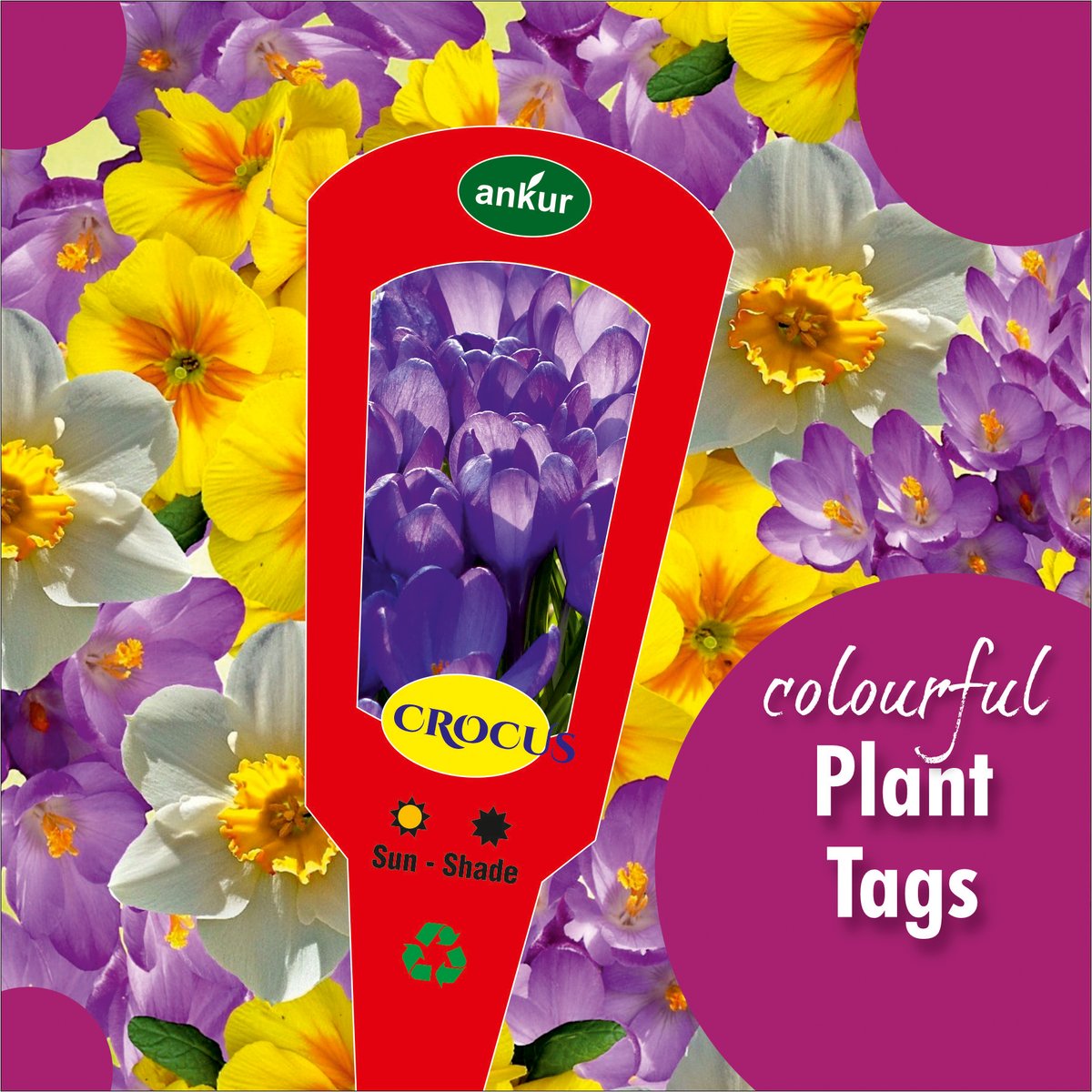 TechNovaWorld's tweet photo. Make customised &amp; durable tags with #NovaLife, create a range of attractive Tag applications like plant tags, baggage tags, garment tags, etc. To know more visit us @ CEIF 2023, Stand No G4 &amp; G5, Jio World Convention Centre, BKC,Mumbai, 5-6-7 Jan 2023, Time: 10.00 am to 7.00 pm https://t.co/c4qAenJbGd