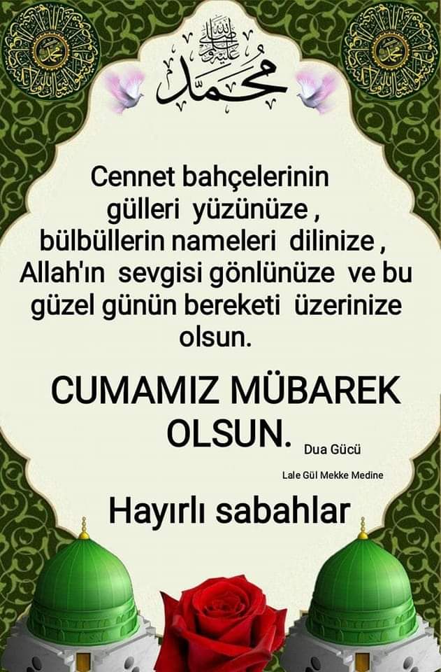 Sitki Utkan (@sitki_utkan) on Twitter photo 