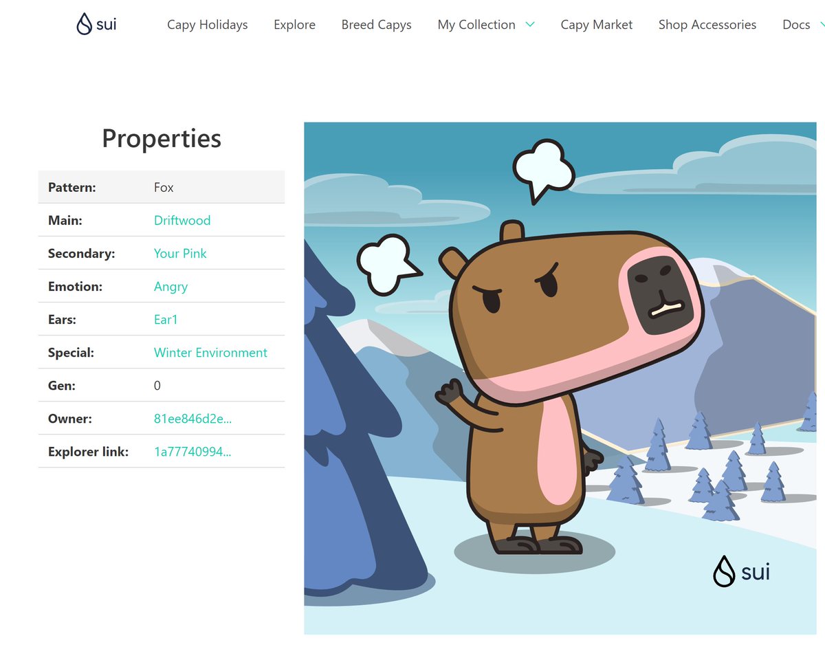 🎁 I just unboxed my Sui Holiday Capy! ❄️ 
Create your own Capy here:  capy.art #CapyHolidays  I am an angry capys. My master didn't buy me Christmas presents and clothes. I feel so cold!