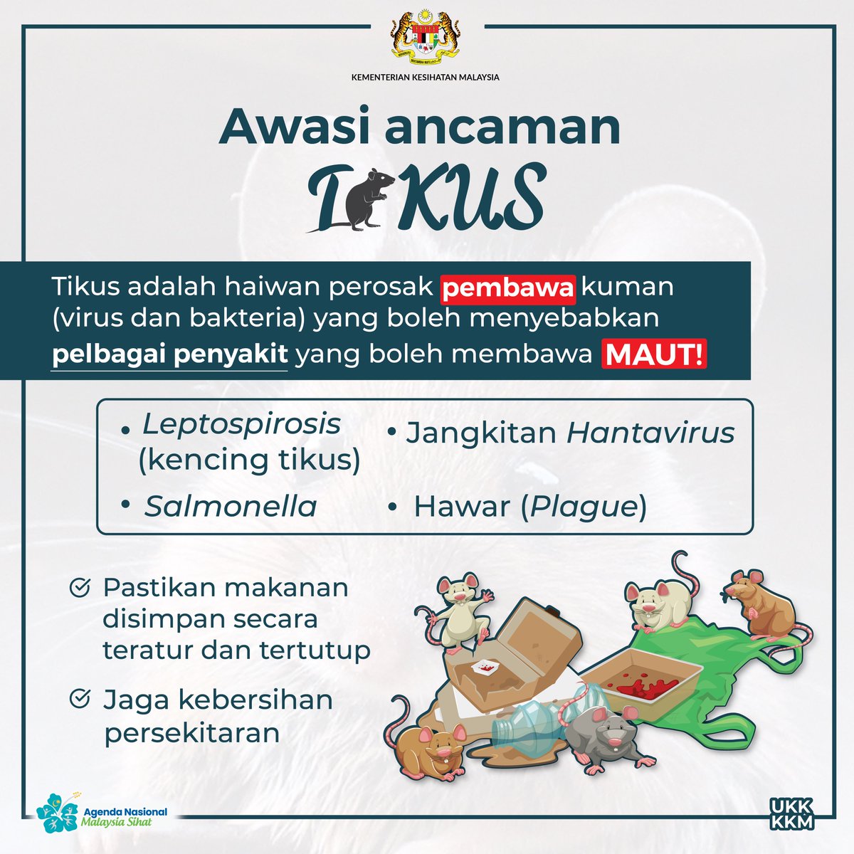 Ketahui risiko penyakit bawaan tikus 🐀 Penyakit bawaan ini boleh dijangkiti melalui kontak dengan air tercemar serta pengambilan air dan makanan tercemar dengan kencing dan najis tikus.