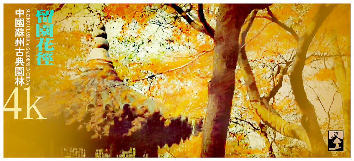 GardenArtof's tweet photo. The Flower Trail in the Lingering GardenlClassical Gardens of #suzhou https://t.co/bRngJZ1123 @YouTube #Garden #GardenCity #artofgarden #ancient #AncientArt #Chinese #classicalgarden #landscapes #landscapedesign #landscapephotography #architecturephotography #architecture #autumn https://t.co/cp3HrMcdxo