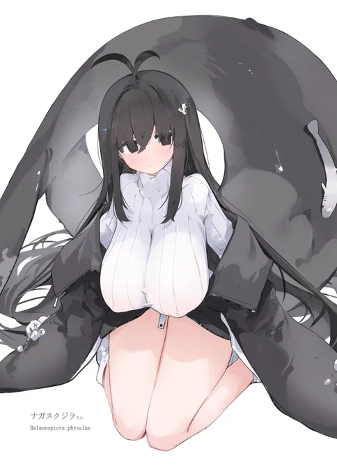 🐳🐳 