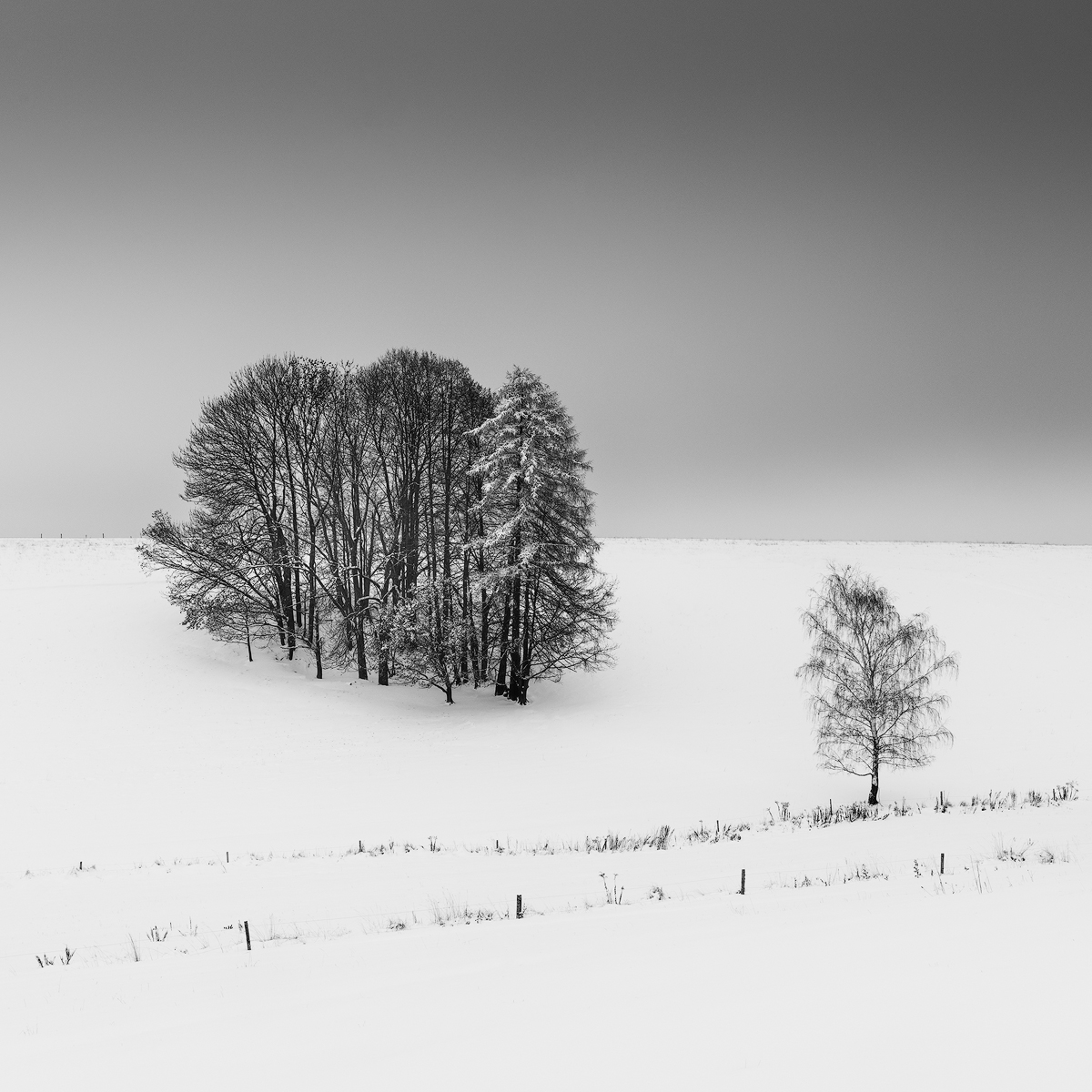 Martin Rak tweet media