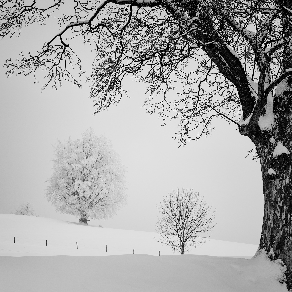 Martin Rak tweet media