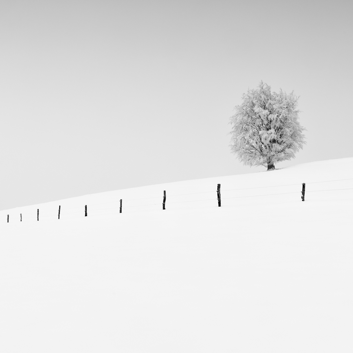 Martin Rak tweet media