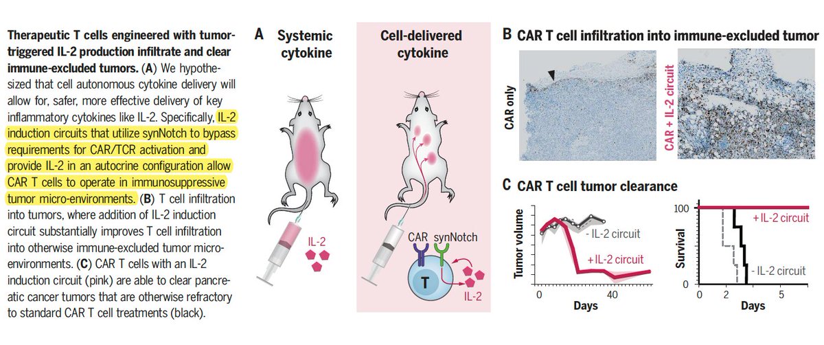 _jdevos_'s tweet photo. Synthetic cytokine circuits that drive T cells into immune-excluded tumors 
#CARTCells
https://t.co/xvJUOpXaKY https://t.co/3vDhxNPNpL
