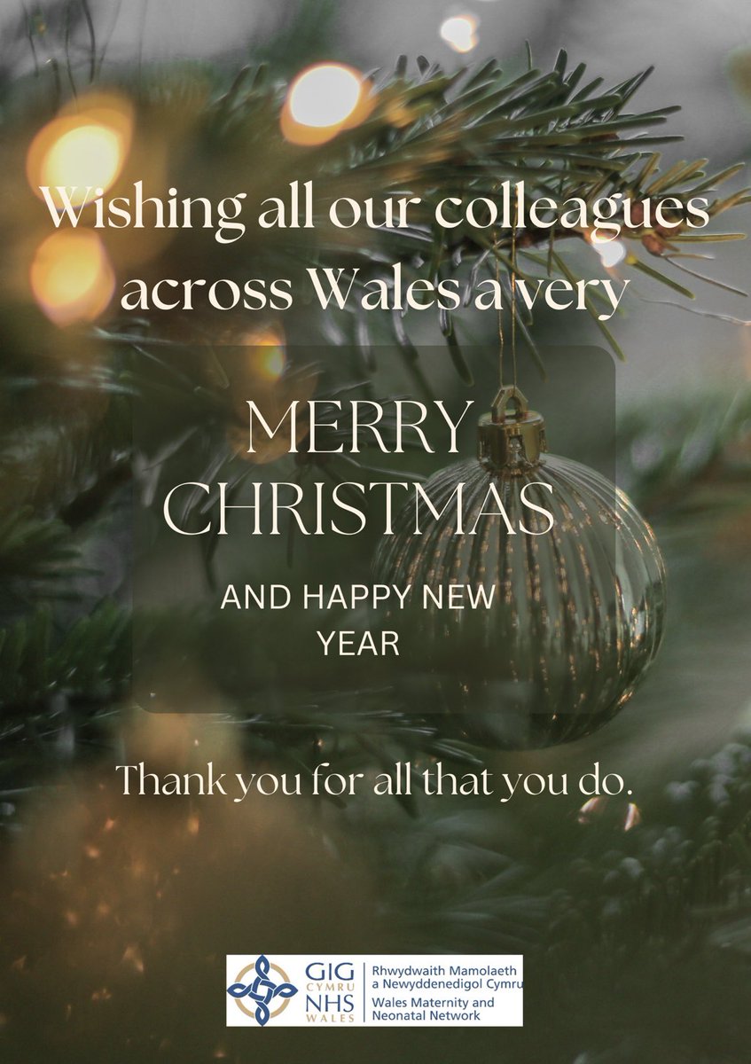 Seymoore85's tweet photo. Nadolig Llawen to all our colleagues across Wales from @WMNNetwork team! #matneo #neonatalnetwork #maternitynetwork #NHSWales #NHS https://t.co/OlNW4jTLYf