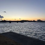 ツイートに含まれる画像