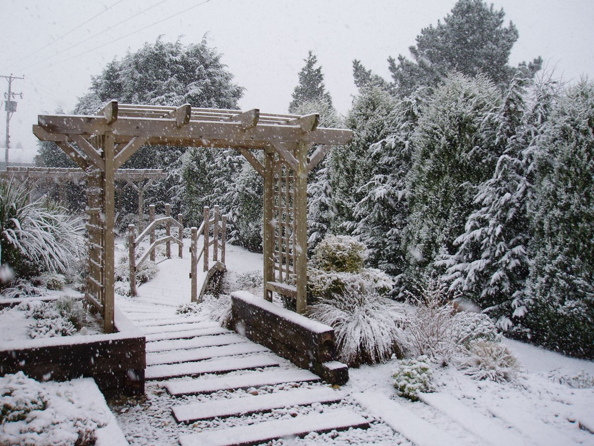 Over this years’ #Christmas Holiday period our office will be closed on the following days: 

Boxing Day (26th) / Roll Over Bank Holiday (27th) / Wednesday 28th / New Year's Day Bank Holiday (2nd) - CLOSED 

Tuesday 3rd - Resume normal opening hours.