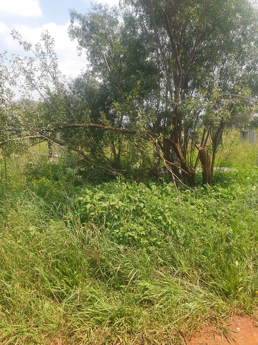 SasCyBee's tweet photo. This is saddening. I am at a funeral to lay our loved one to their final resting place. I am actually appalled at the condition of Issac Scotty Nyashengu Cemetery. It is no different to a abandoned dumpsite. This is sad and disgusting  @City_Ekurhuleni do better! https://t.co/AO9oESctvk