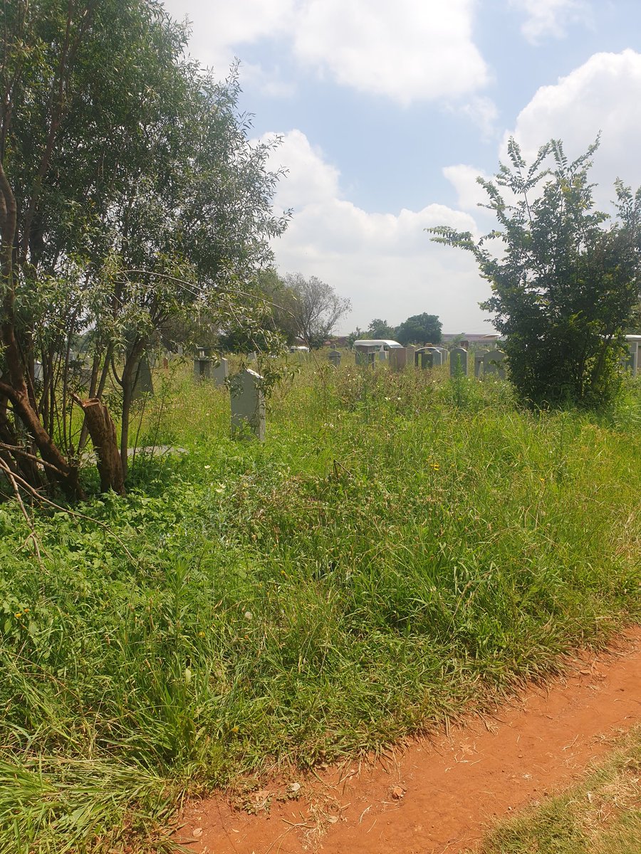 SasCyBee's tweet photo. This is saddening. I am at a funeral to lay our loved one to their final resting place. I am actually appalled at the condition of Issac Scotty Nyashengu Cemetery. It is no different to a abandoned dumpsite. This is sad and disgusting  @City_Ekurhuleni do better! https://t.co/AO9oESctvk
