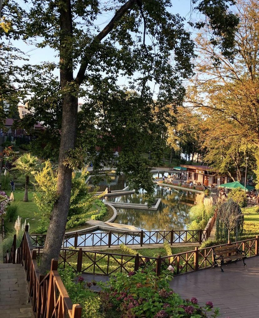 Bugün aldığımız kararlar biyolojik çeşitliliğin ve gezegenimizin kaderini milyonlarca yıl boyunca etkiliyor.
Biyoçeşitlilik kaybı gezegendeki en büyük çevresel tehditlerden biridir.
Nesli tükenmekte olan türleri koruyalım. 🌱 #autumn #autumnvibes #autumnatkew #NaturePhotography