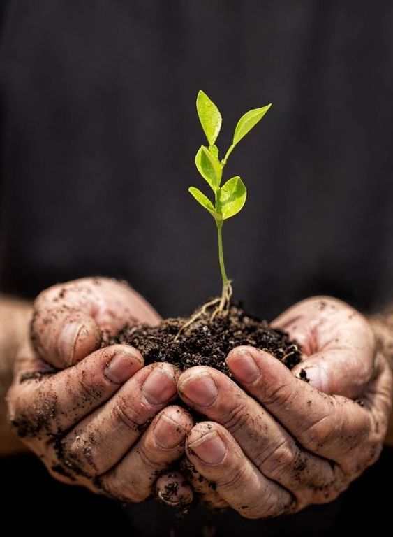 TRUSTFARM_FOSC's tweet photo. Population growth and rapid urbanization are major trends shaping the future of #Mediterranean and Sub-Saharan #African #agriculture.
#TRUSTFARM project is there to design integrated agro-ecosystems based on the conservation principles of using natural resources.
@foscera https://t.co/2Jk7PkQeXC