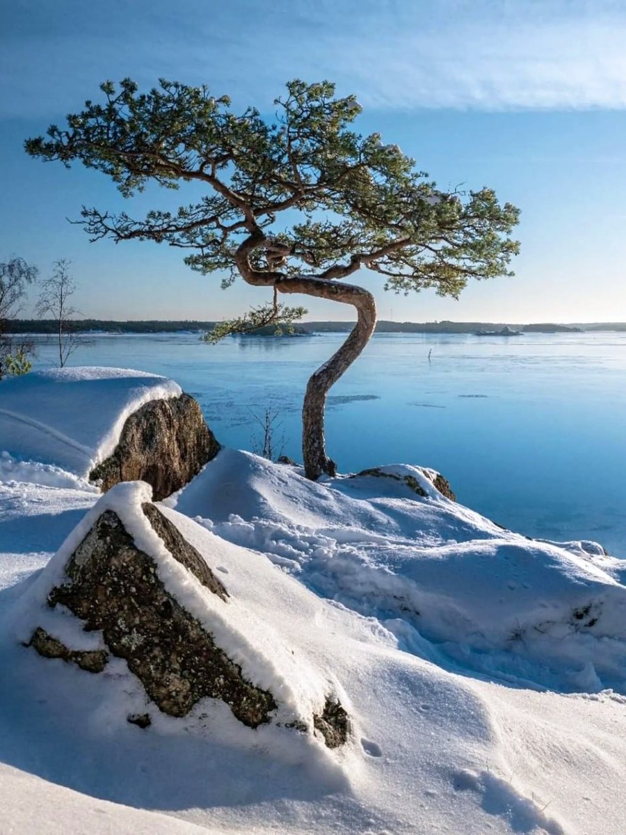 123 (@xetra_a) on Twitter photo 