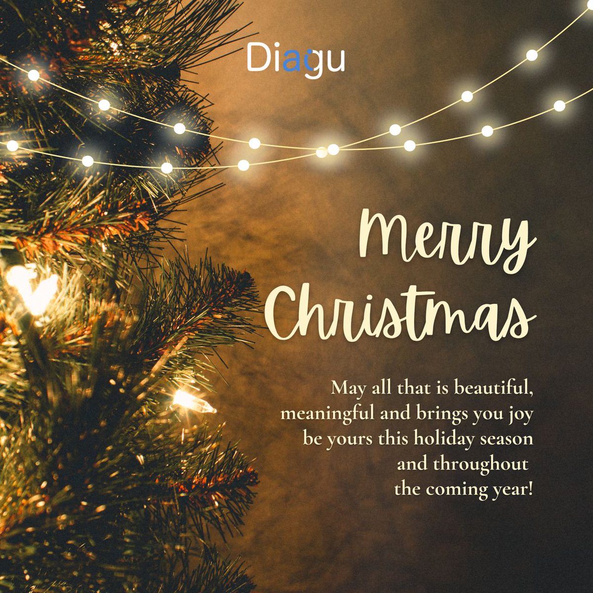Diagu_com's tweet photo. Best wishes for a joyous Christmas filled with love, happiness and prosperity🎄 https://t.co/ksjSZp80t5