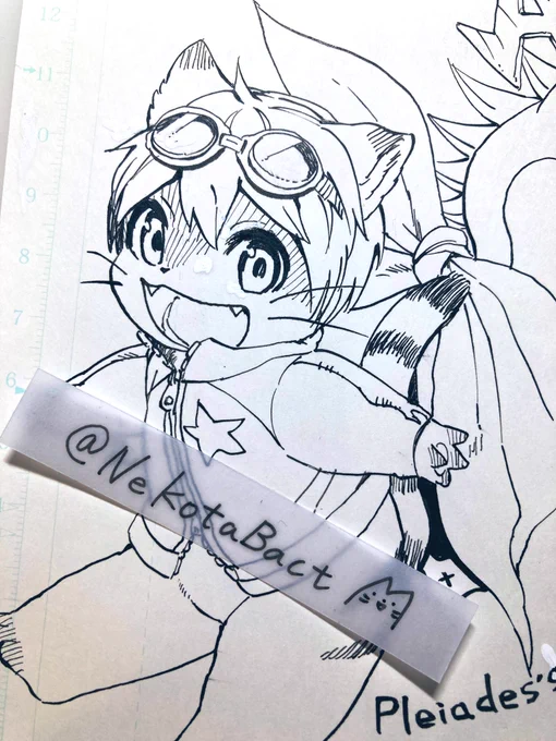 新春けもけに持っていこうと考えてるモノクロシールの絵 