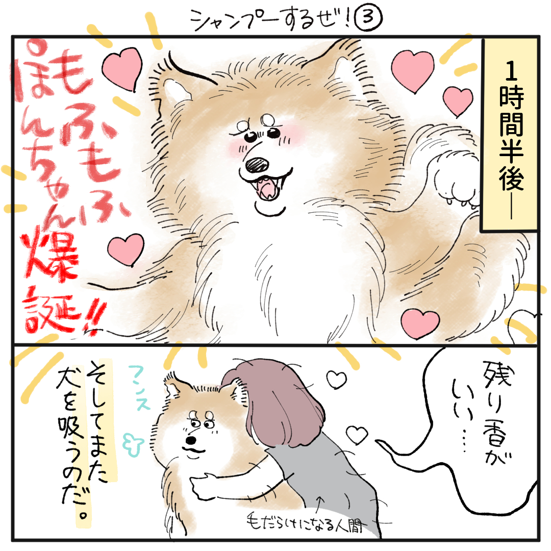 続き～シャンプーは一大イベントです 