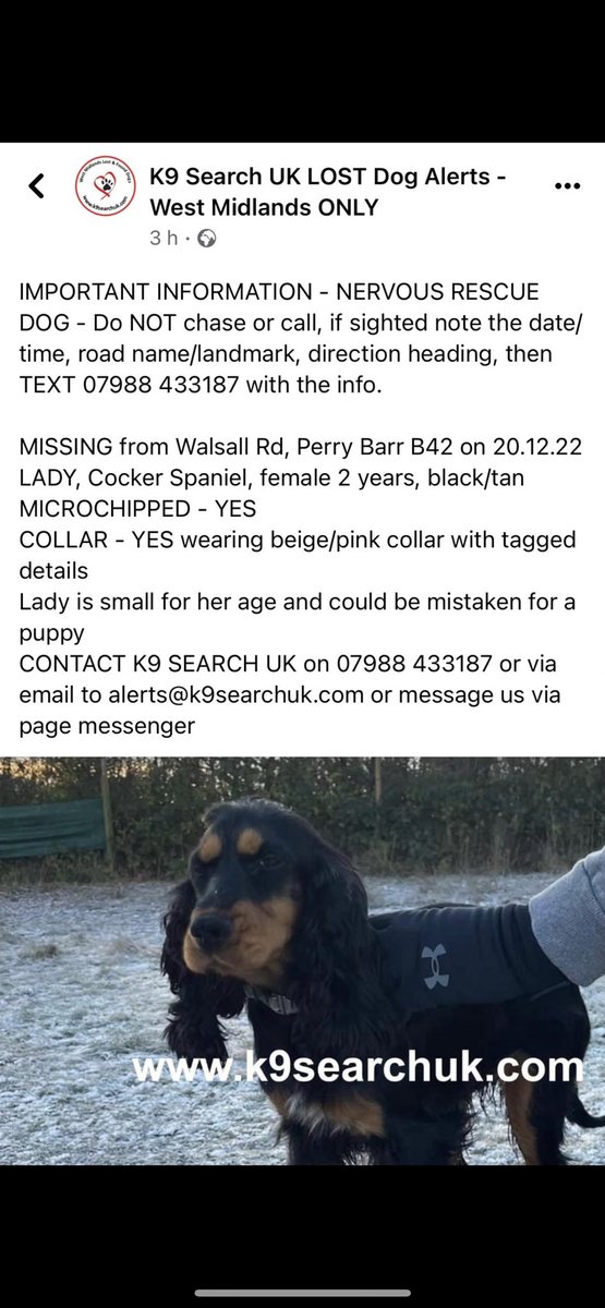 verityllxo's tweet photo. Please help bring Lady home #missingdog #lostdog #suttoncoldfield #BIRMINGHAM #perrybarr https://t.co/OIcQsNN3UD