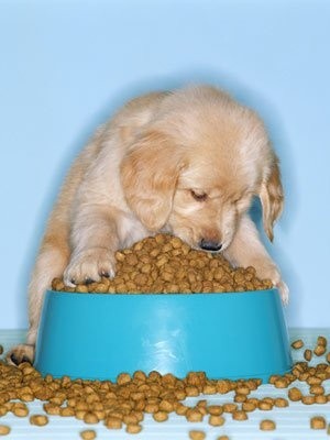 #LUCAS #루카스 #黄旭熙 #ルーカス