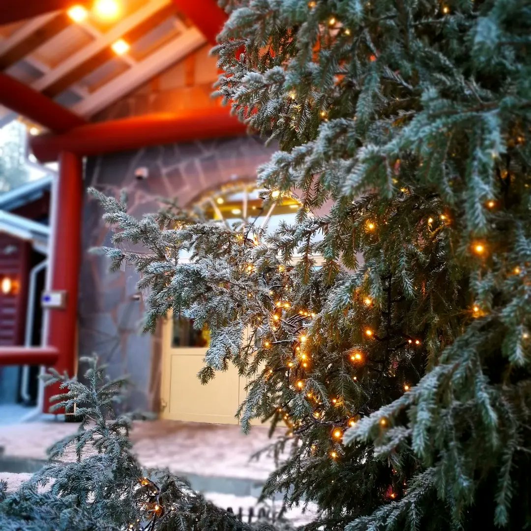 What is the most Christmassy place in the world?
There isn't a single day in Rovaniemi that doesn't feel like Christmas
#rovaniemi #SantaClaus  #christmas #Travel #traveltheworld #nftbookin #korvatunturi #Finland