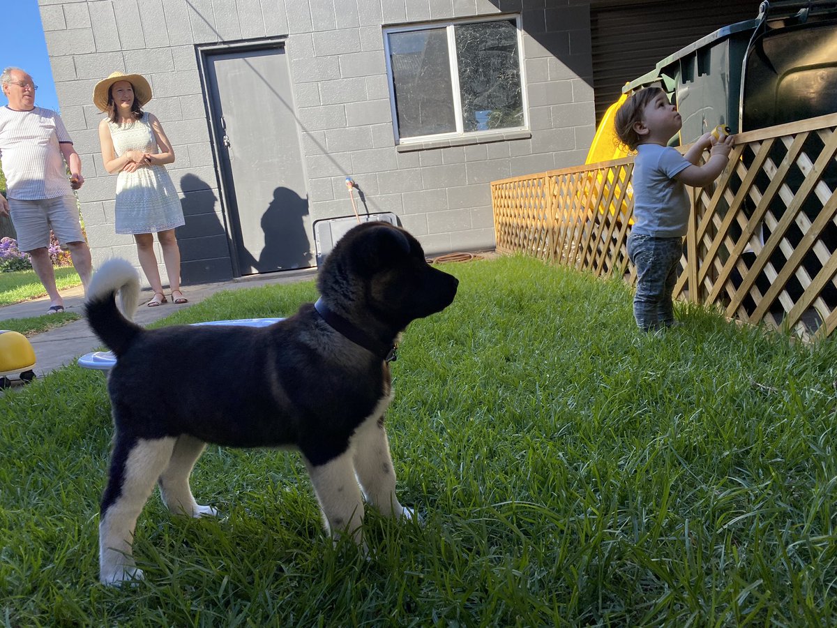<a href="/MARISLabs/">MARIS Lab</a> Xmas party (including <a href="/DonlonErica/">Erica Donlon Durante</a>’s puppy)! Thank you for all your beautiful food and company.