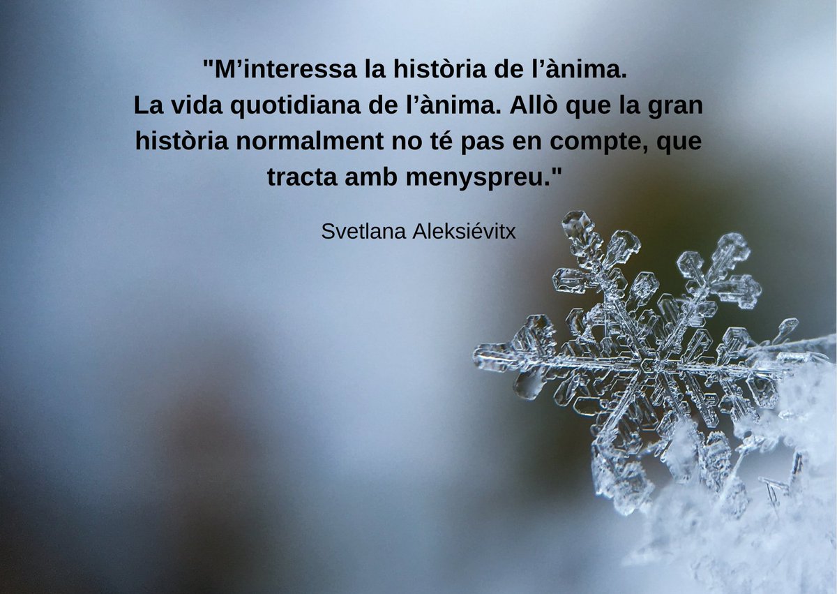 Mitjans i Cultura tweet media