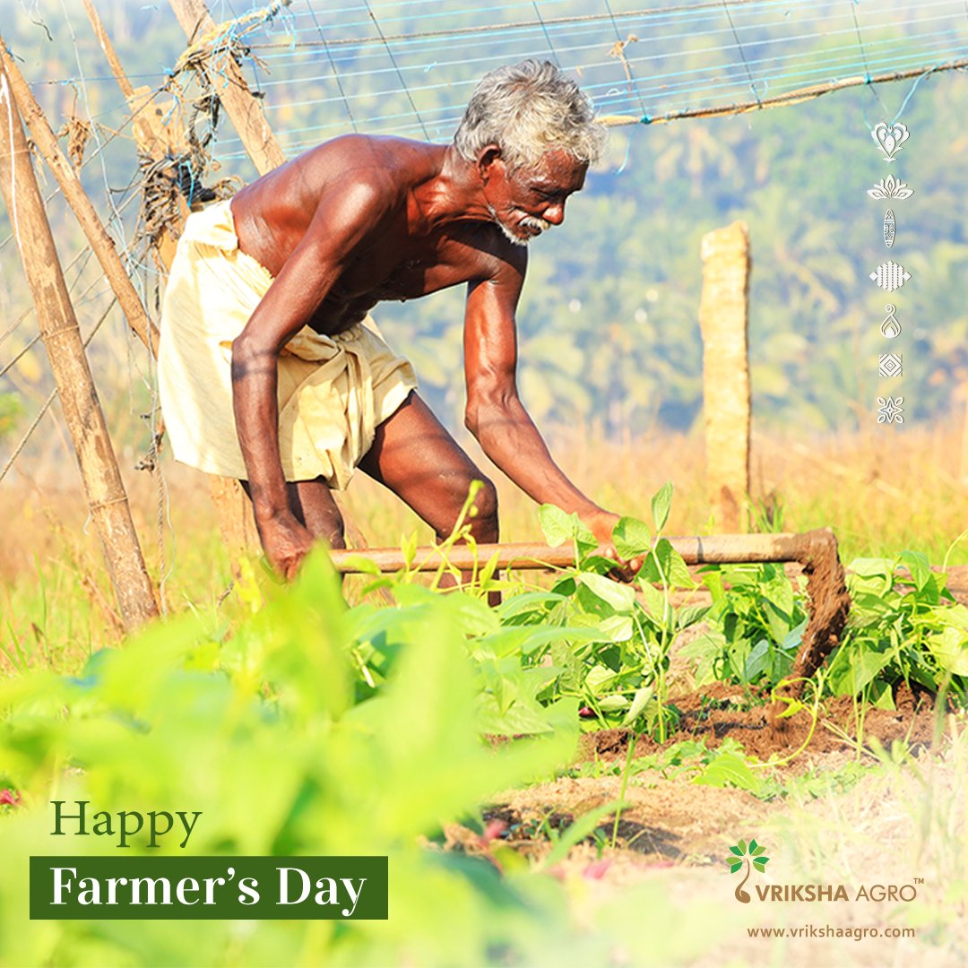VrikshaAgro's tweet photo. Happy Farmer's Day🌾🌾

#farmersday #farmers #farmerslife #farmerstyle #farmerflorist #farmermarket #farmergirl #farmersdaughter #farmerswife #food #farmerboys #farmersbranch #genuinepeople #seed #agroinputs #vrikshaagro #agriculture https://t.co/uK1un1T4gL