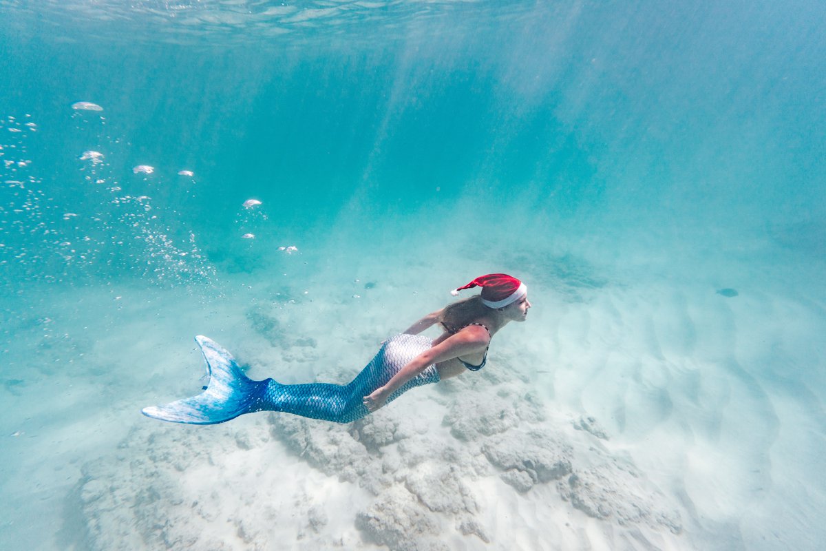 We would like to wish all of you a very happy and refreshing Christmas! Bon Pasco! #Christmas #onehappyisland