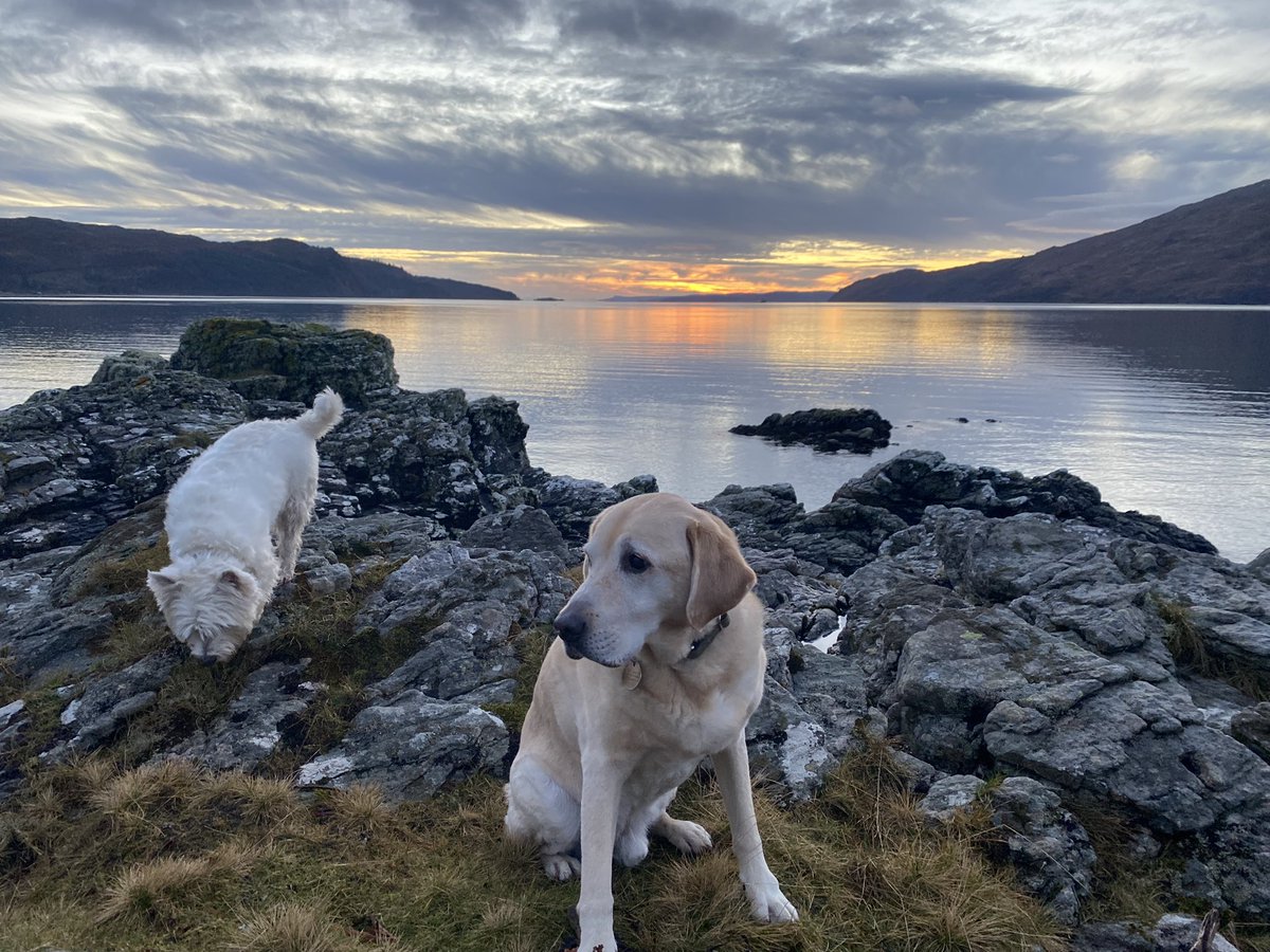 One of the Family tweet media