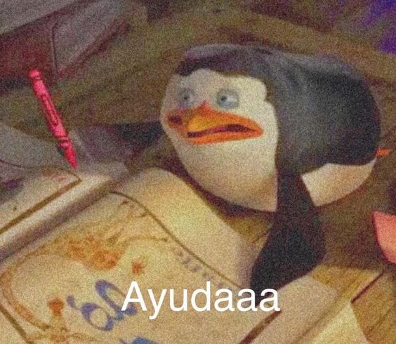 yo estudiando en plenas vacaciones navideñas