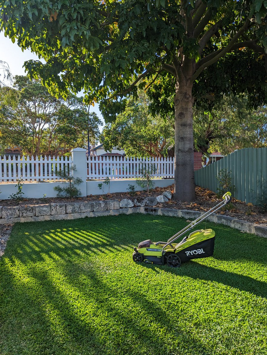 Jeffrey Wilson tweet media