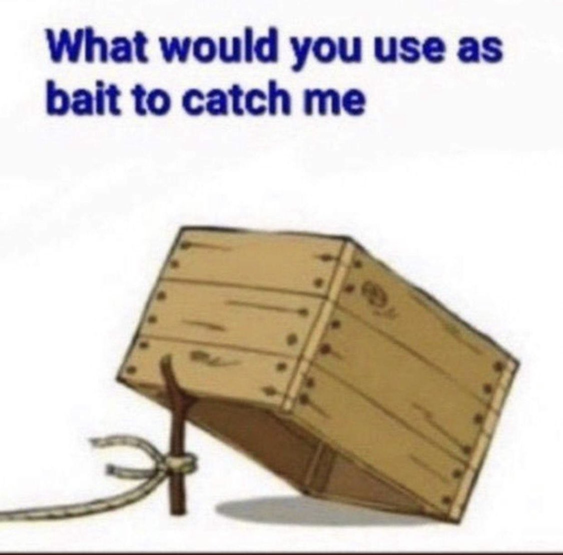 ViperTheRex's tweet image. I’ll drop this here out of boredom