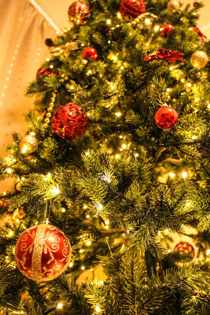 ProductsTopps's tweet photo. We wish all our valued clients across Australia and New Zealand, a very Merry Christmas and a safe &amp; prosperous New Year.
#avob #toppsproducts #Roofleak #roofrepair #roofing https://t.co/EK46ulp6Uu