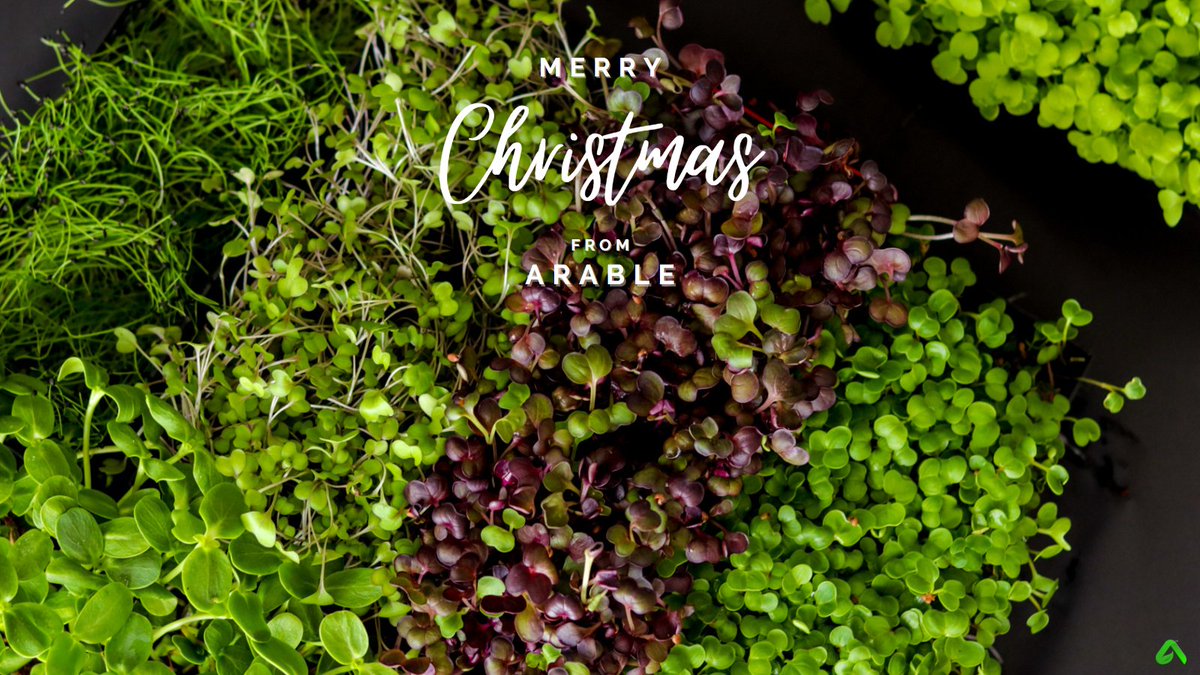 'Tis the season... for microgreens

Wishing you a very merry Christmas, filled with joy, health, and prosperity! 

#Christmas #microgreens #healthy #nutritious #startup #superfood #arable #verticalfarming #urbanfarming #containerfarming #stellenbosch #somersetwest #capetown