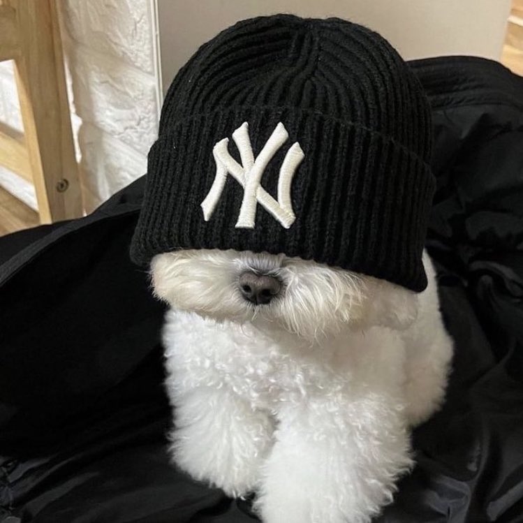 Shtreetwear's tweet photo. https://t.co/Bj10hgeRLY