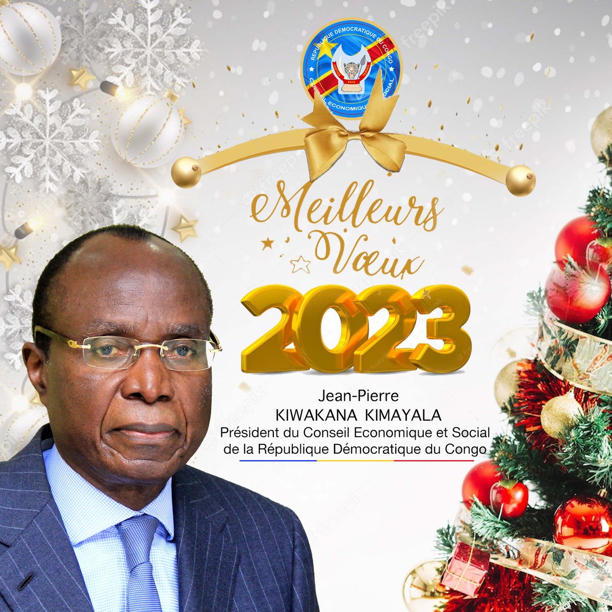 Conseil Economique et Social/ CES-RDC 🇨🇩 tweet media