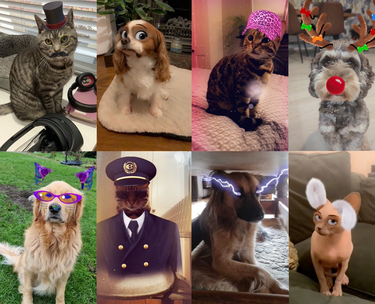 Wishing you Happy Holidays from Poplar Studio (and pets)!

#AR #augmentedreality #holidays #pets #augmentedpets