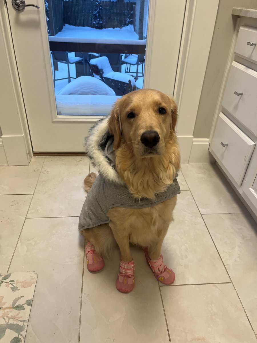 StateFarmJean's tweet image. Be sure to bundle up today; it is a cold one! Our office is closed due to weather, but you can call 513-683-5404 and Brittney or Stephanie will be available to assist you over the phone. #statefarm #likeagoodneighbor