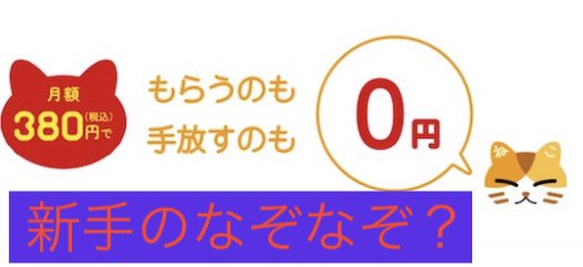 ねこホーダイとかいう猫を不幸にしかしない 「猫のサブスク」 いや 「命のサブスク」 を行う鬼畜サービスについて、猫マスターが泣きながらすげえ書きました 恐る恐るサイトを見ると、そこは地獄絵図の様でした 怒りで手が震えてます - リュックと愉快な仲間たちブログ ✏️rikkusora.com/rikku/namennna